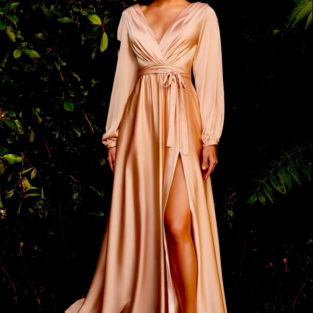 Champagne colored dress
